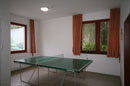 ping-pong asztal - sz�ll�s, P�cs